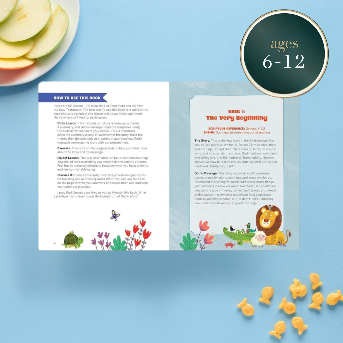FaithSteps™ Workbook